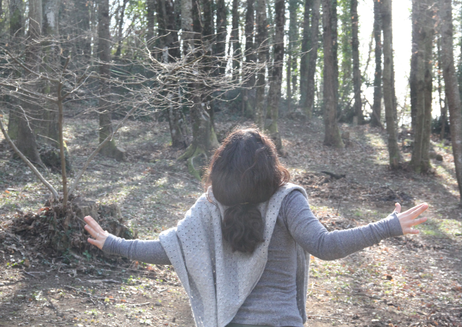 Pedagogia dell'Espressione