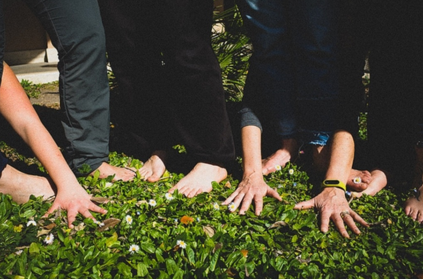 Pedagogia dell'Espressione